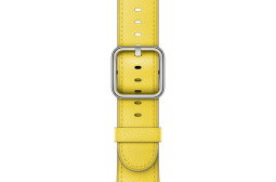 38mm-Spring-Yellow-Classic-Buckle