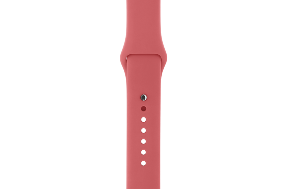 watchband-sport-camellia-42