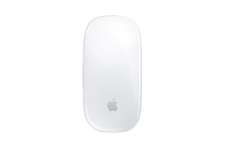 MagicMouse-1