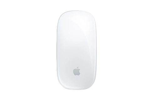 MagicMouse-1