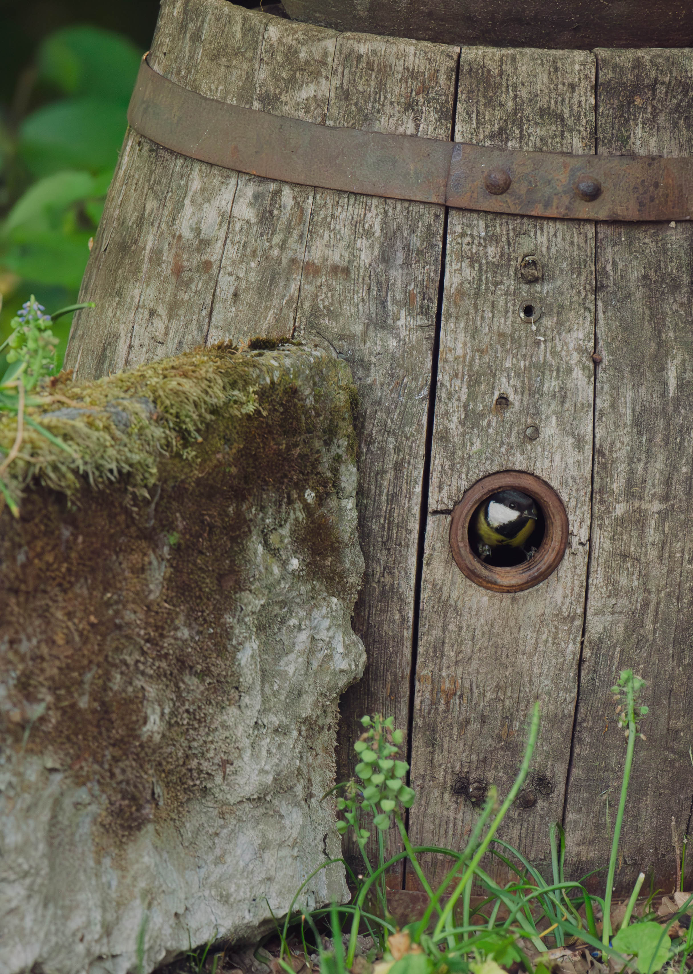 DSC_4108-Verbeterd-NR