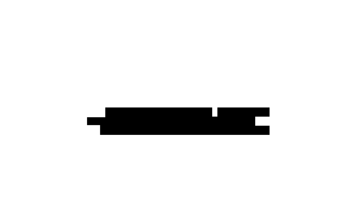 LINES_2_opgevuld