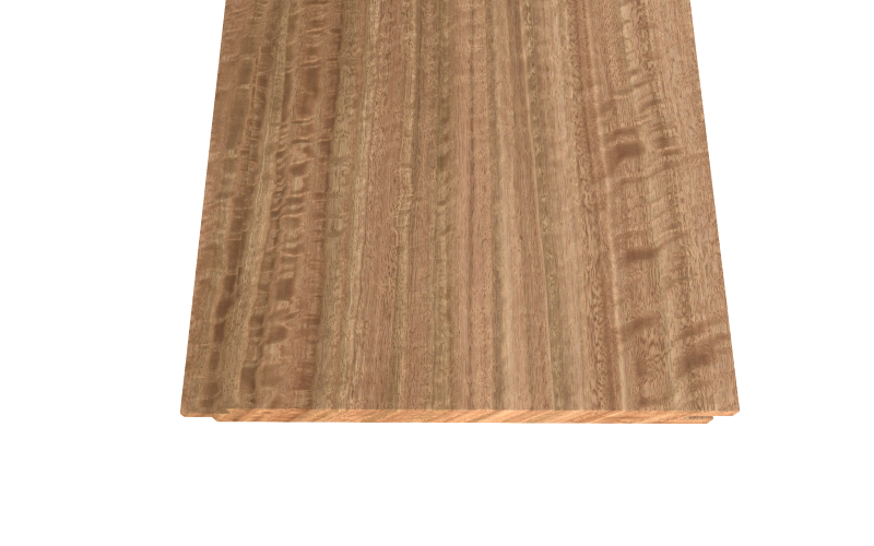 Fineline190_ThermoAyous_e0018