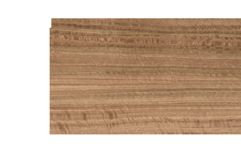 Fineline190_ThermoAyous_f_a0018