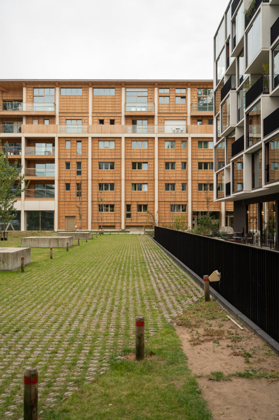 097_LDCwood_grenen_lfp_BAN_woontoren (19)
