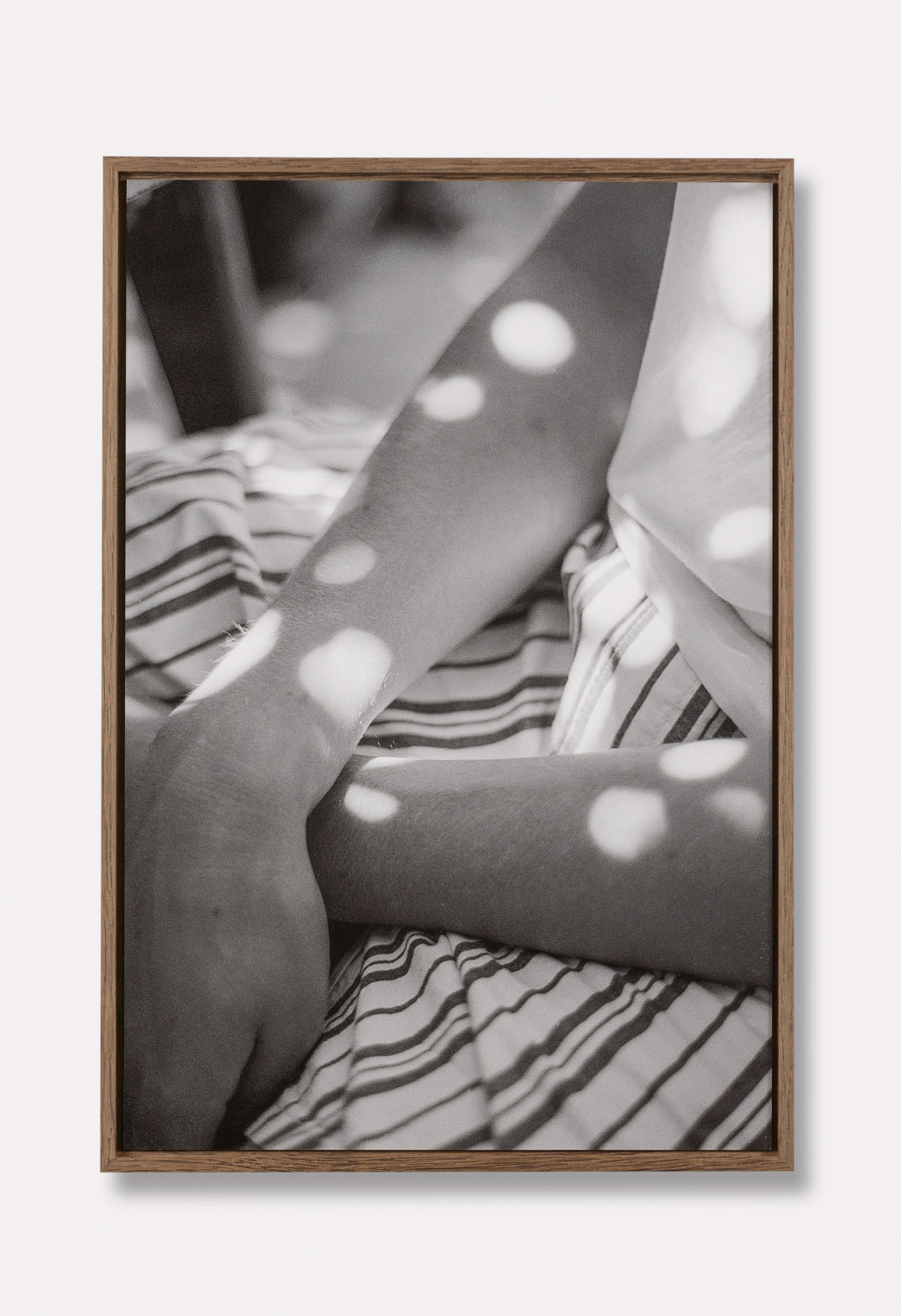 Cambeau-LichtOpMarkt+