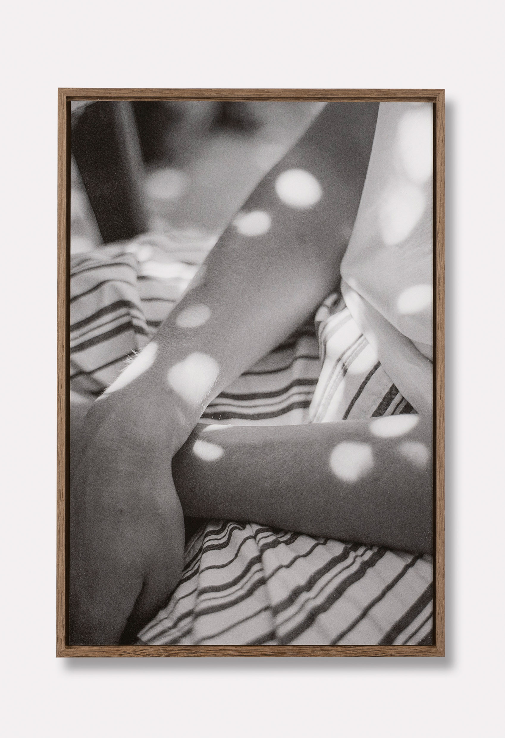 Cambeau-LichtOpMarkt+