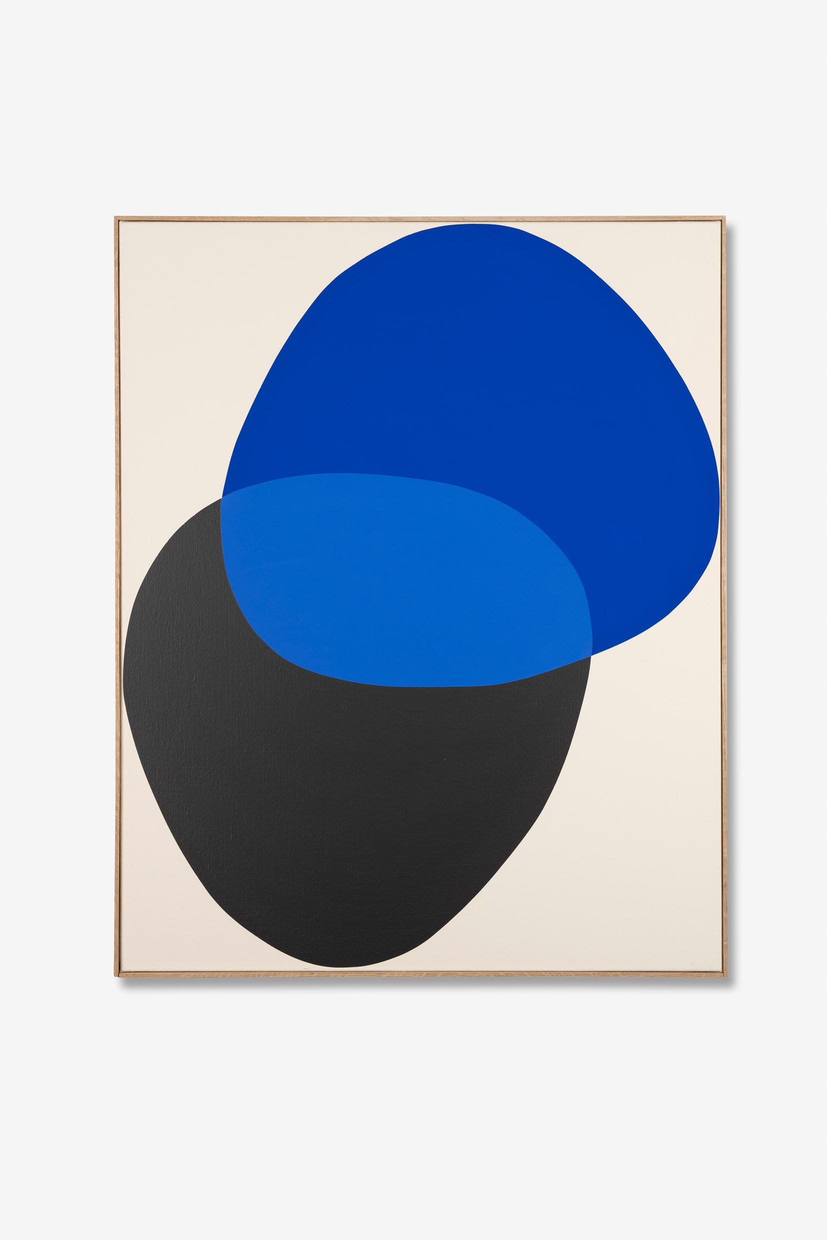 FrancoisBonnel-RingIsland+