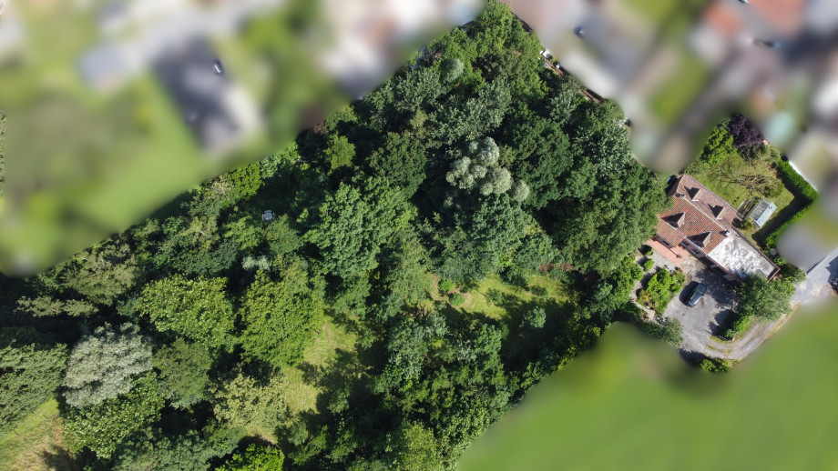 drone beelshoek