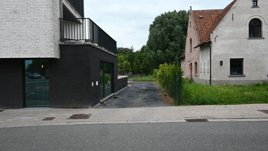 DSC_1267