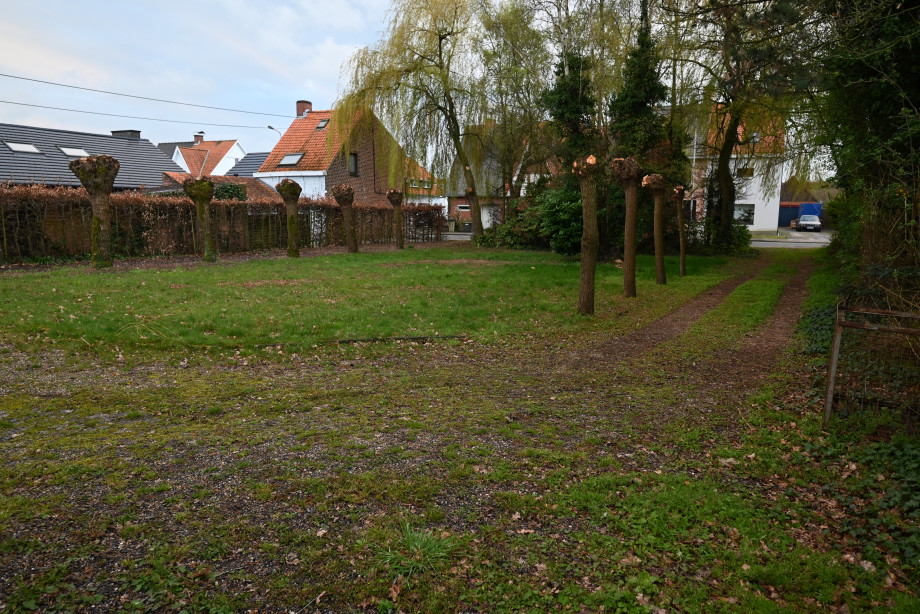 DSC_1397