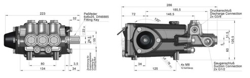 afm p21