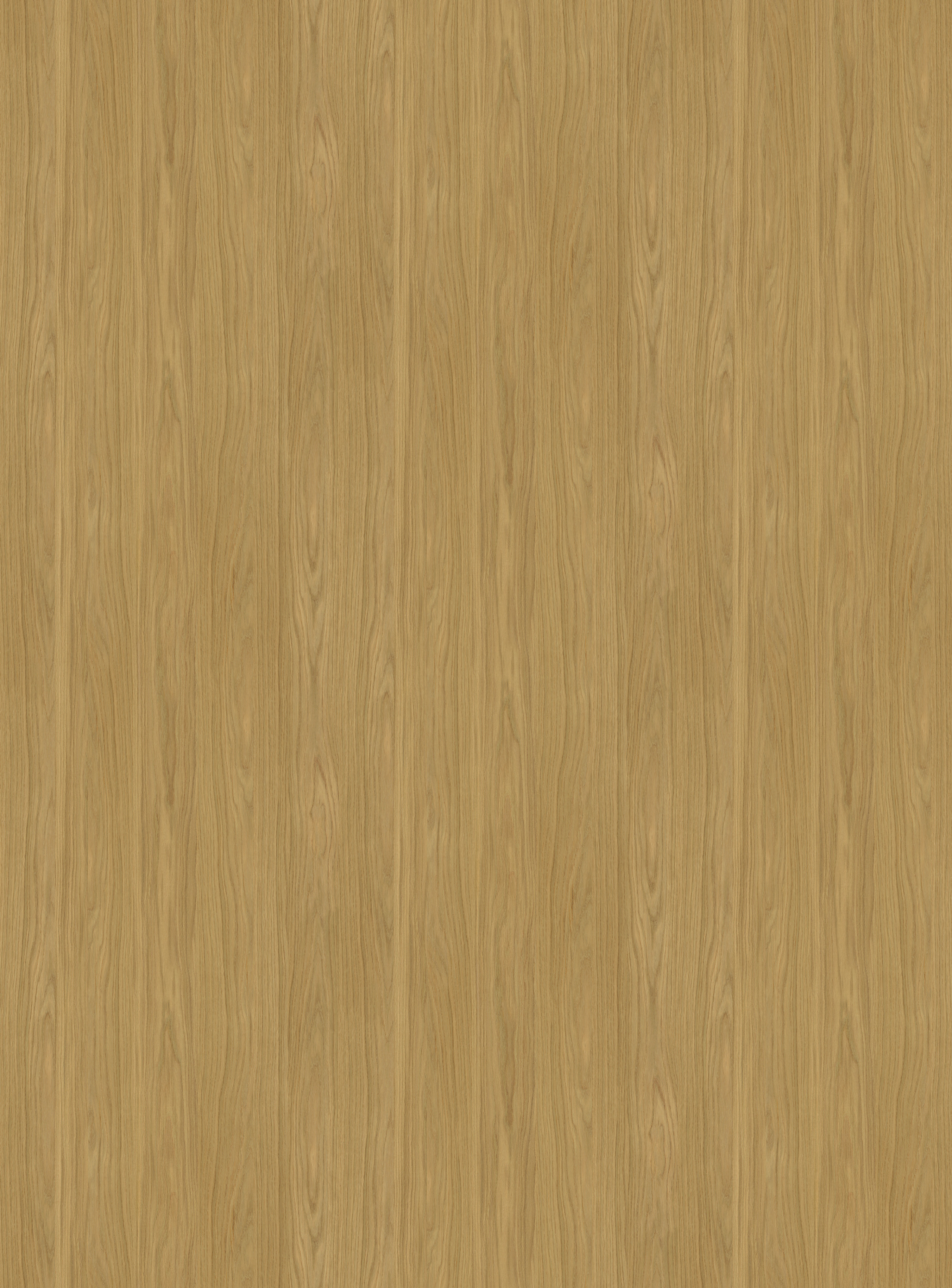 Oak Castilla Zamora - W261 - 2800x2070