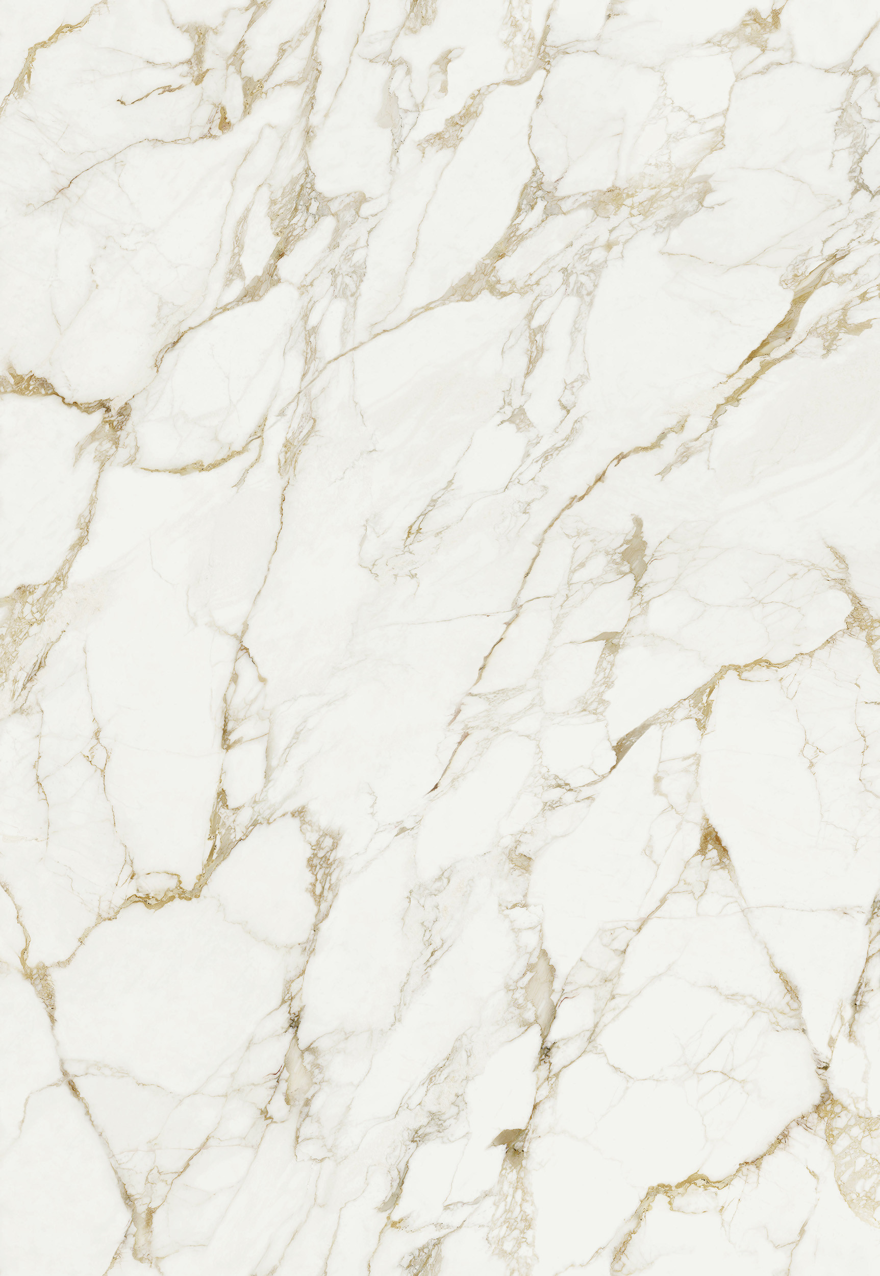 SM_art_OL09_Calacatta_Olympus_development