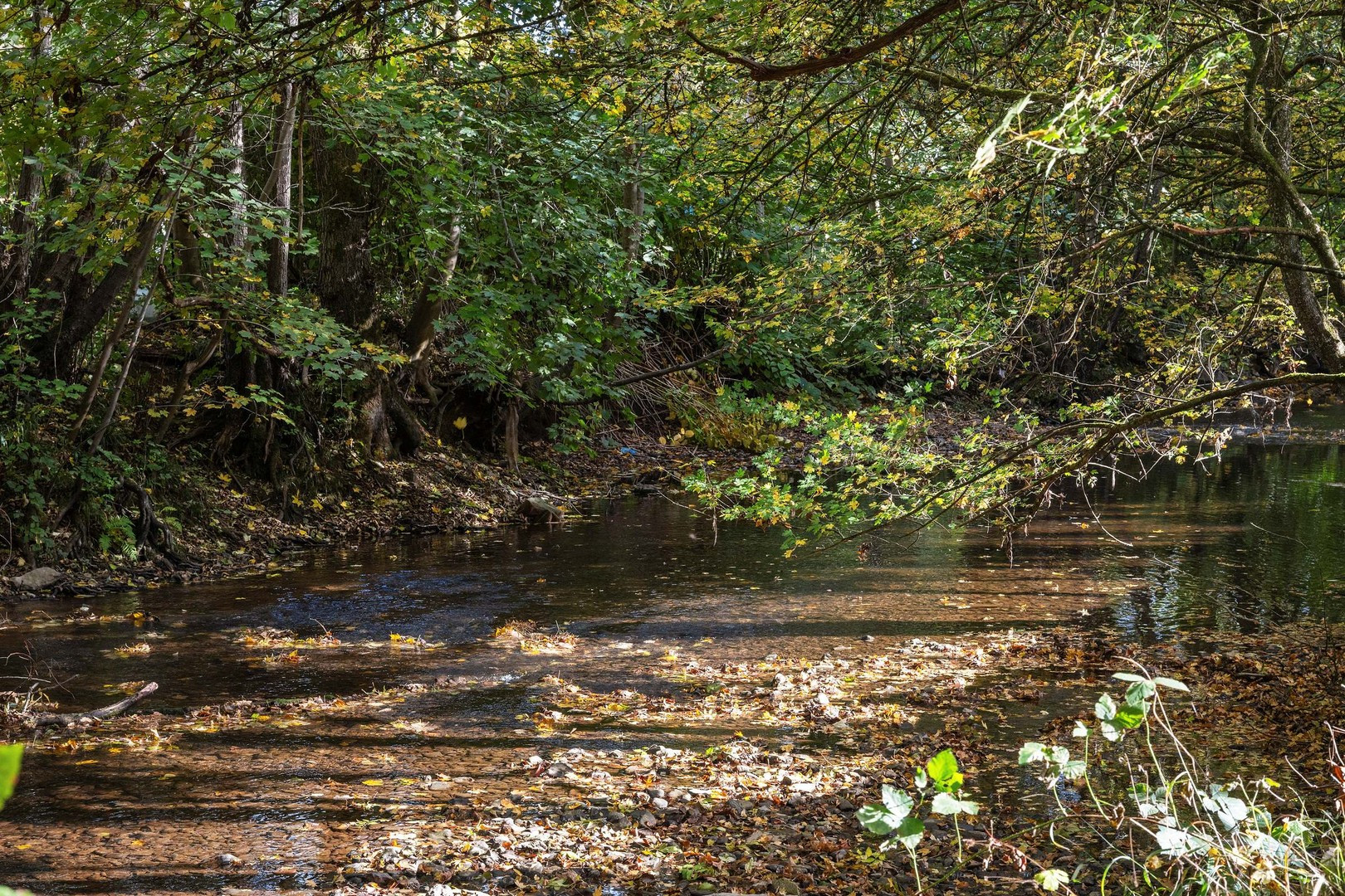 eb13b4d874e59519b29985d3671f65fb4e04cb6f65b95af225ca63019f5fa1d2