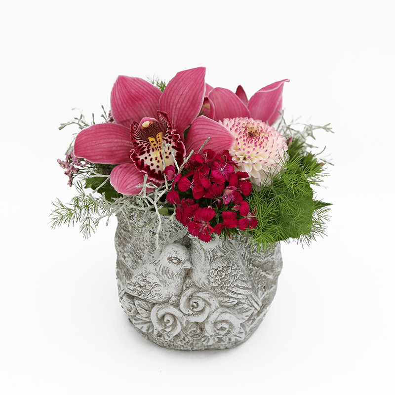 Bloemen en decoratie | Vanallemeersch-Deraedt Bloemen en decoratie | Vanallemeersch-Deraedt