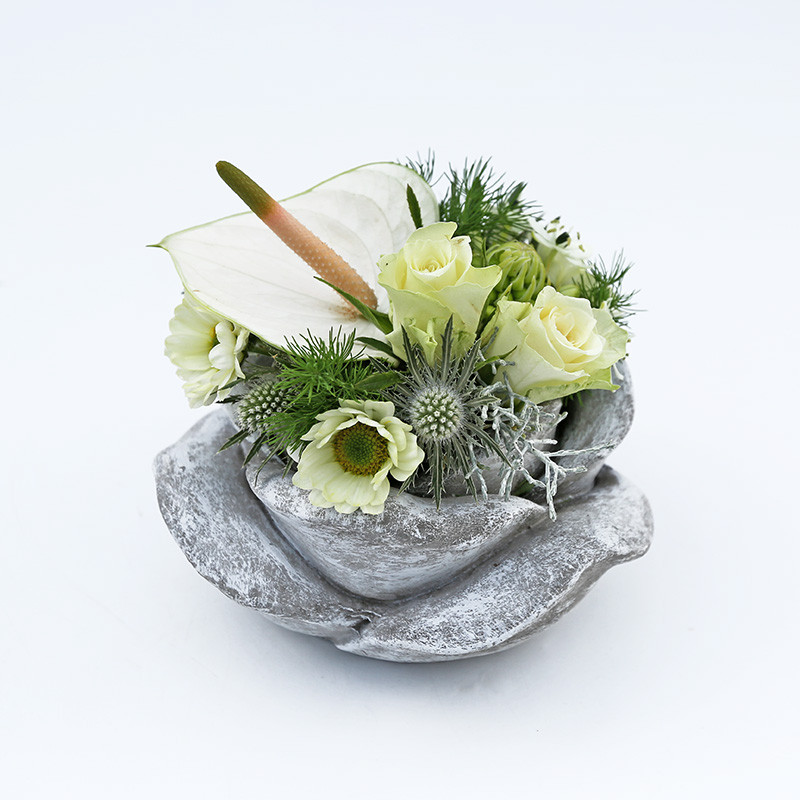 Bloemen en decoratie | Vanallemeersch-Deraedt Bloemen en decoratie | Vanallemeersch-Deraedt