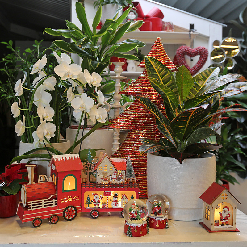 Bloemen en decoratie | Vanallemeersch-Deraedt