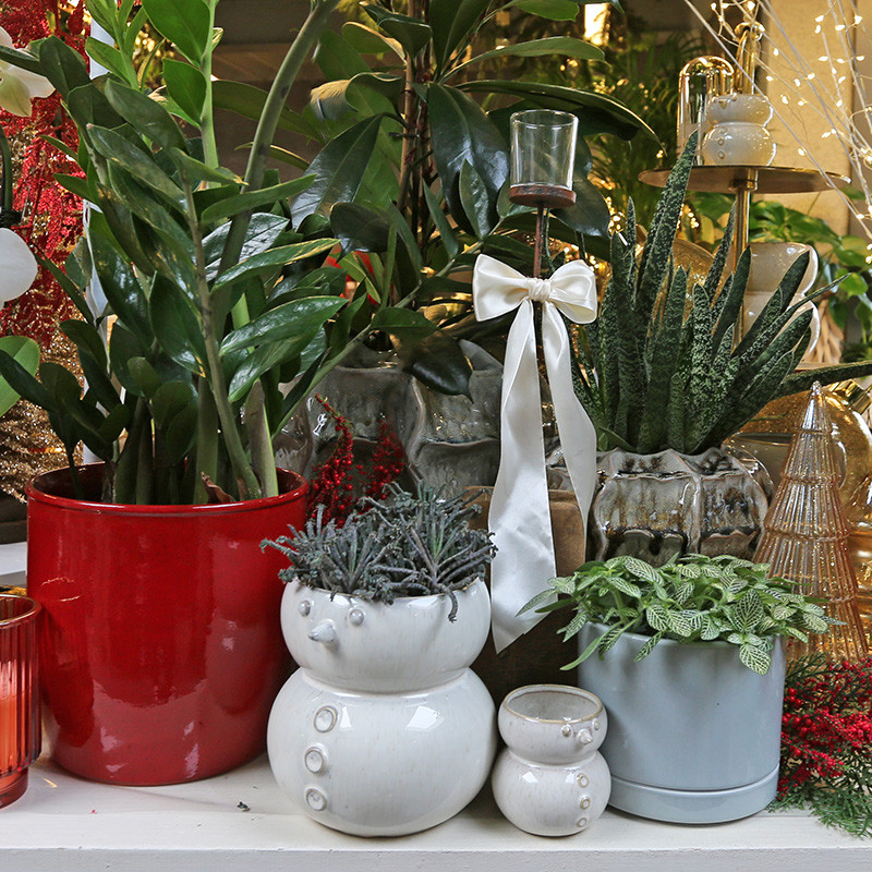 Bloemen en decoratie | Vanallemeersch-Deraedt