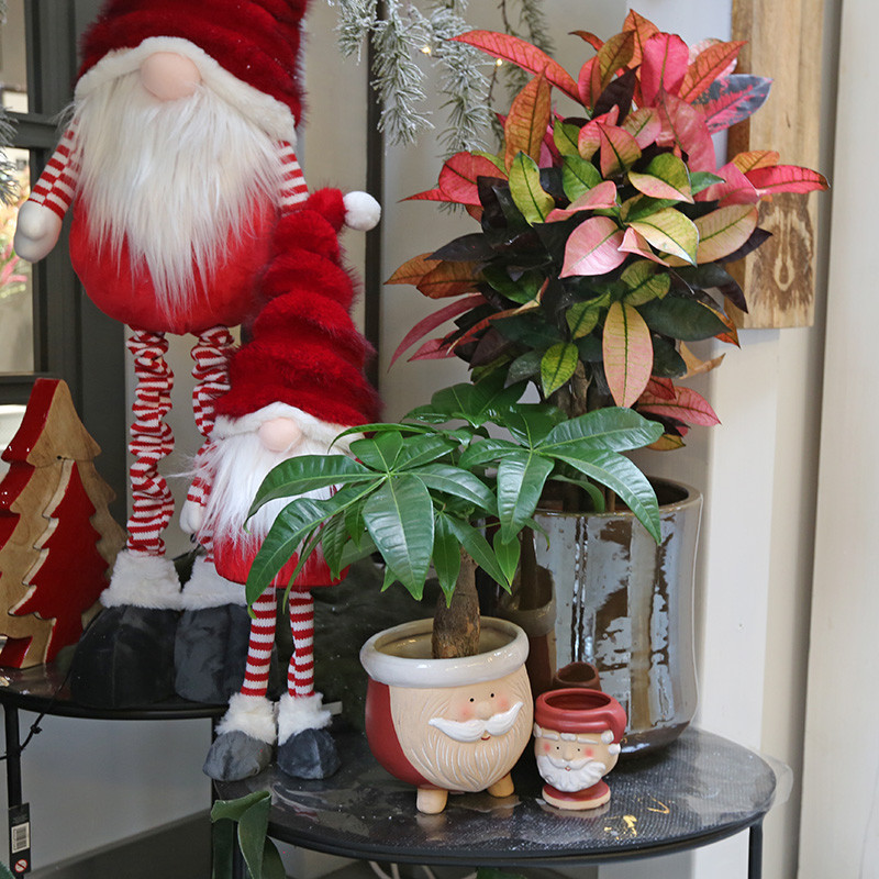 Bloemen en decoratie | Vanallemeersch-Deraedt Bloemen en decoratie | Vanallemeersch-Deraedt