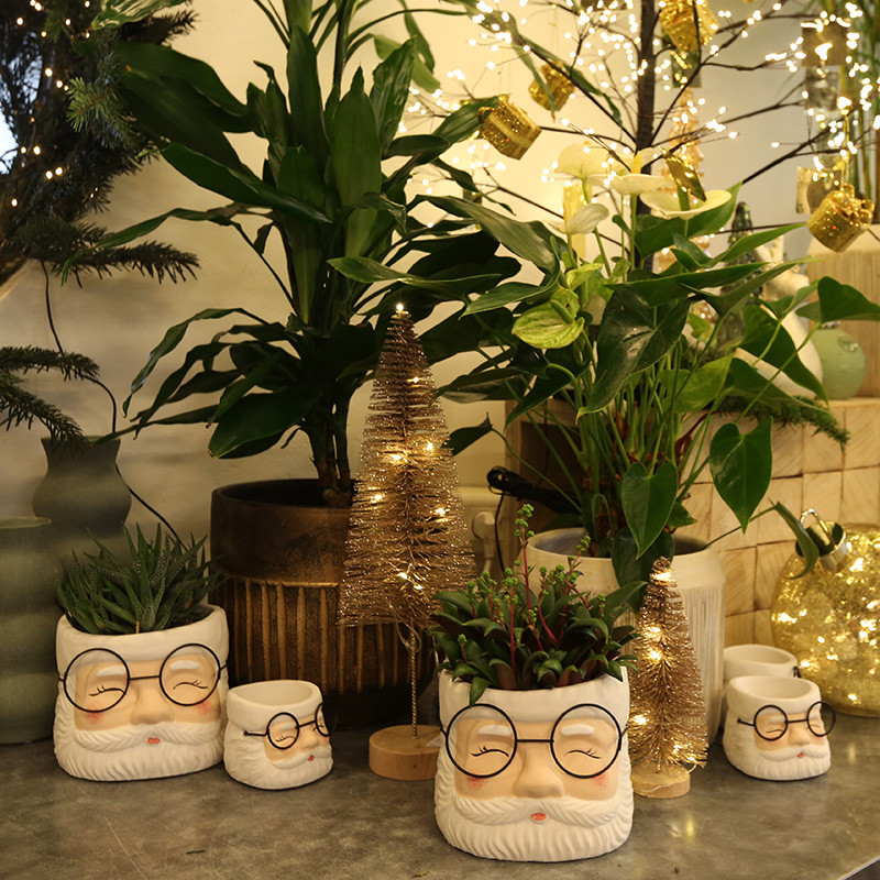 Bloemen en decoratie | Vanallemeersch-Deraedt Bloemen en decoratie | Vanallemeersch-Deraedt