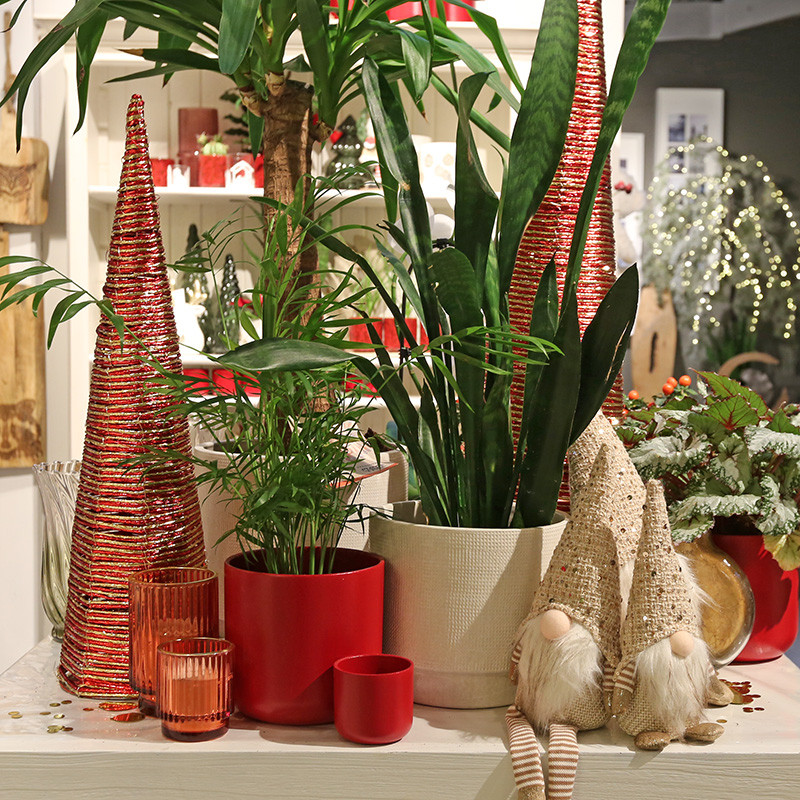 Bloemen en decoratie | Vanallemeersch-Deraedt Bloemen en decoratie | Vanallemeersch-Deraedt