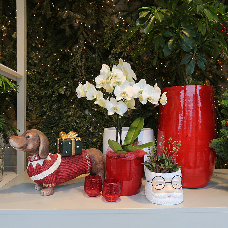 Bloemen en decoratie | Vanallemeersch-Deraedt Bloemen en decoratie | Vanallemeersch-Deraedt