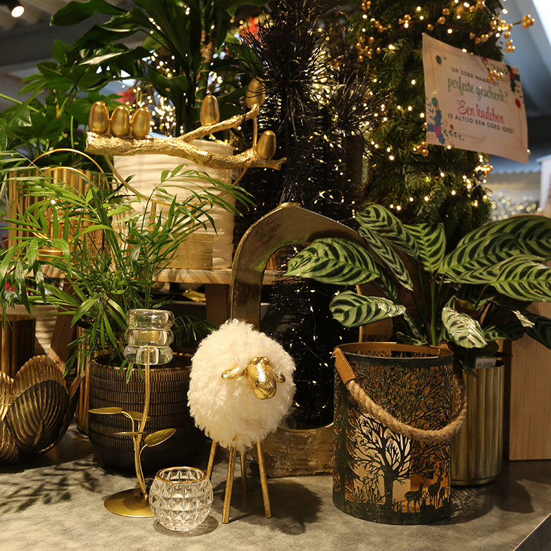 Bloemen en decoratie | Vanallemeersch-Deraedt Bloemen en decoratie | Vanallemeersch-Deraedt