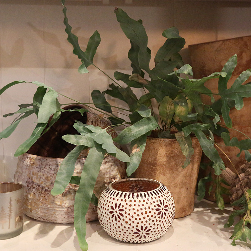 Bloemen en decoratie | Vanallemeersch-Deraedt