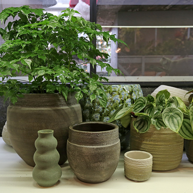 Bloemen en decoratie | Vanallemeersch-Deraedt