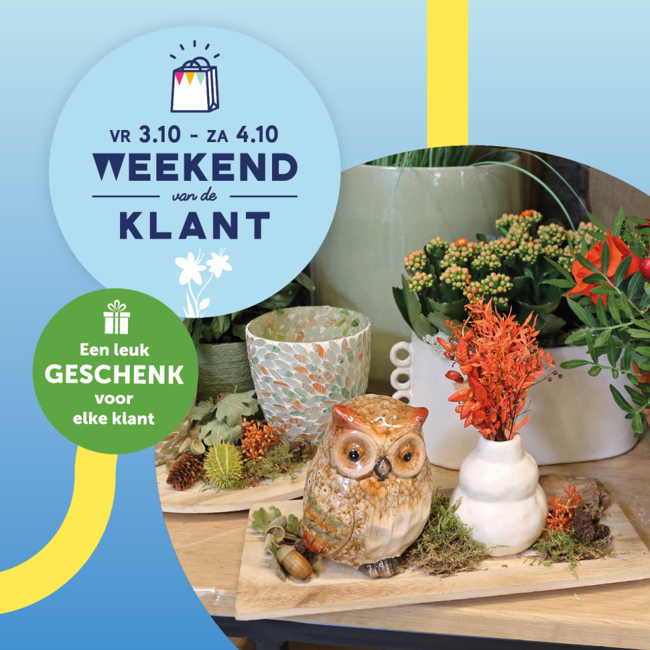 Bloemen en decoratie | Vanallemeersch-Deraedt Bloemen en decoratie | Vanallemeersch-Deraedt