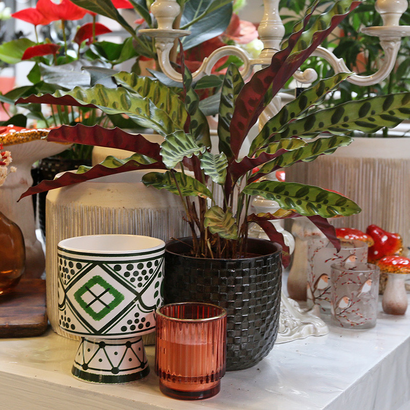 Bloemen en decoratie | Vanallemeersch-Deraedt Bloemen en decoratie | Vanallemeersch-Deraedt