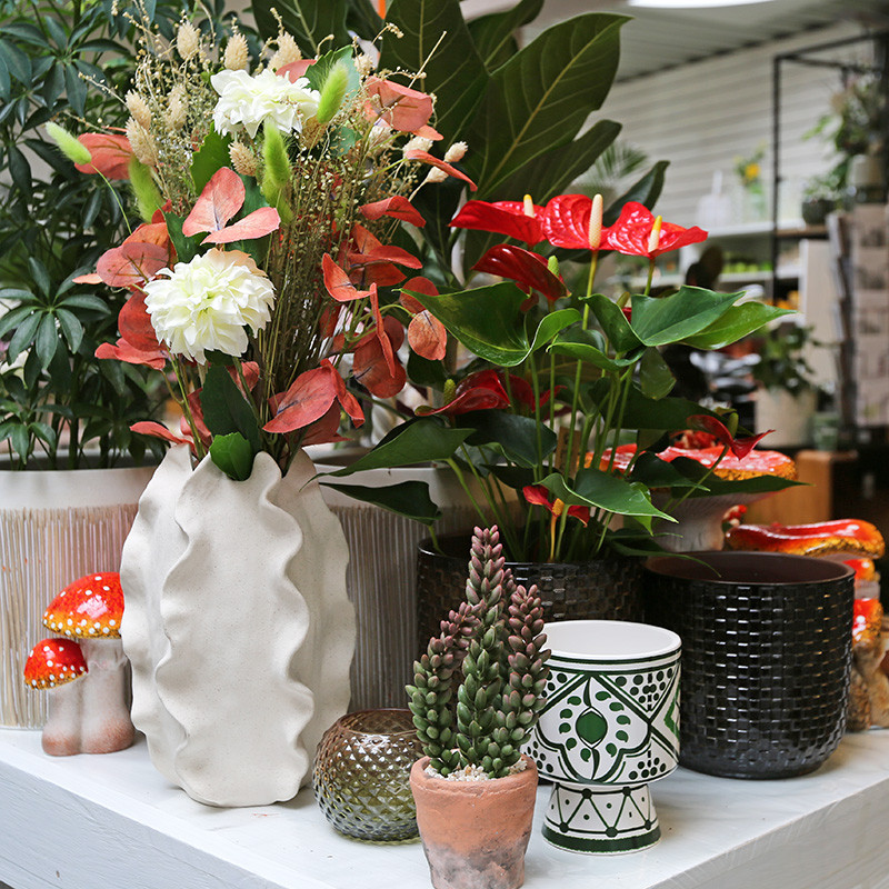 Bloemen en decoratie | Vanallemeersch-Deraedt