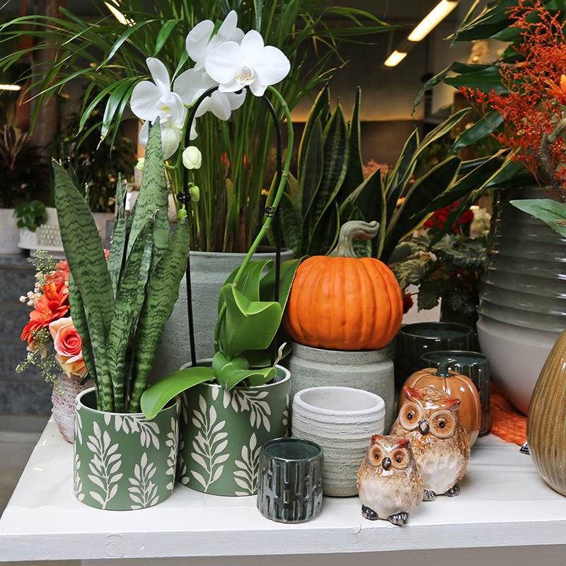 Bloemen en decoratie | Vanallemeersch-Deraedt Bloemen en decoratie | Vanallemeersch-Deraedt