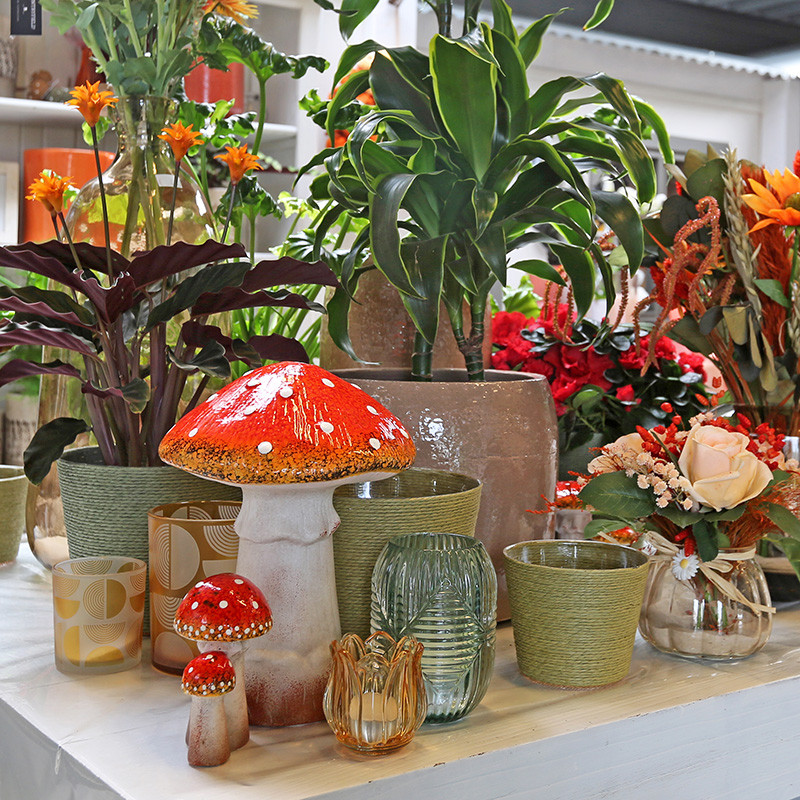 Bloemen en decoratie | Vanallemeersch-Deraedt Bloemen en decoratie | Vanallemeersch-Deraedt