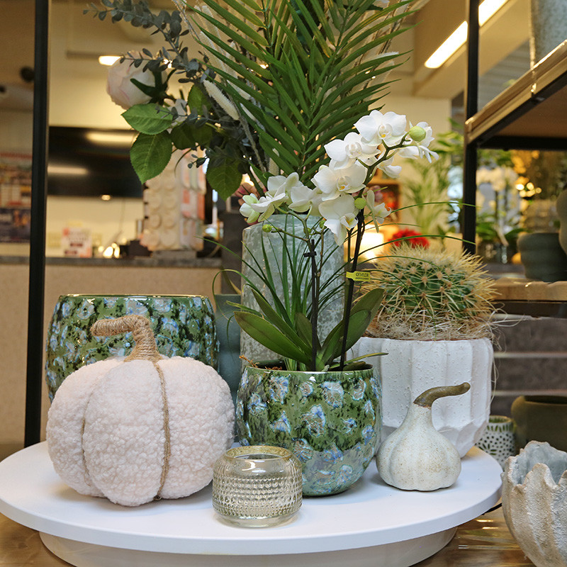 Bloemen en decoratie | Vanallemeersch-Deraedt