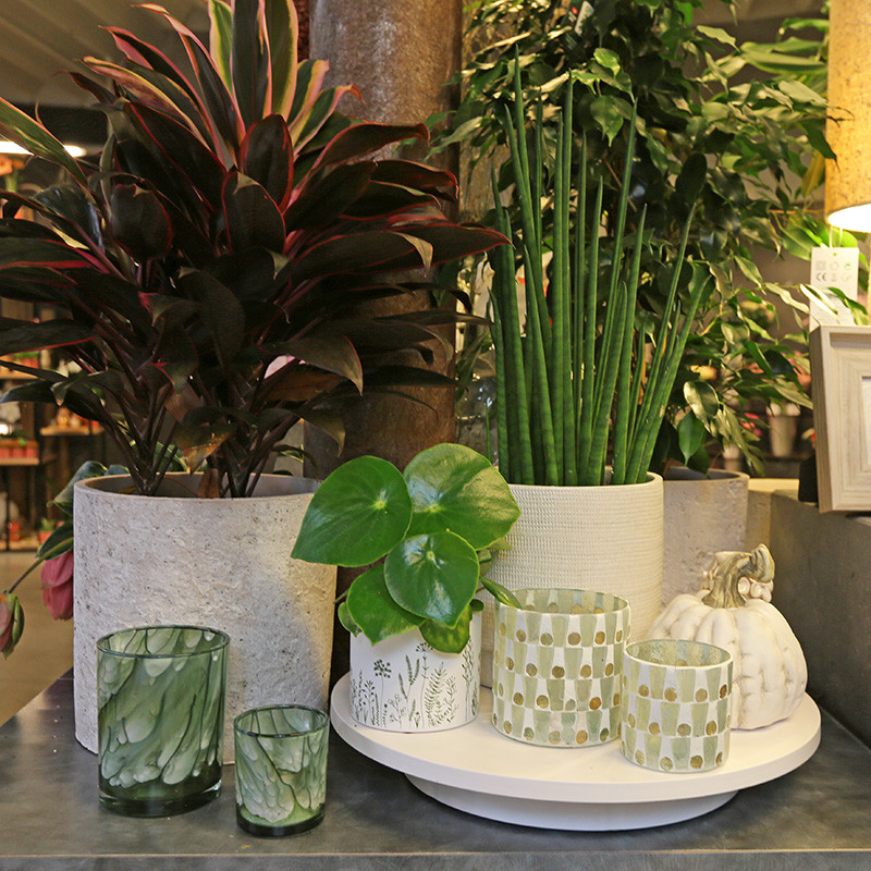 Bloemen en decoratie | Vanallemeersch-Deraedt