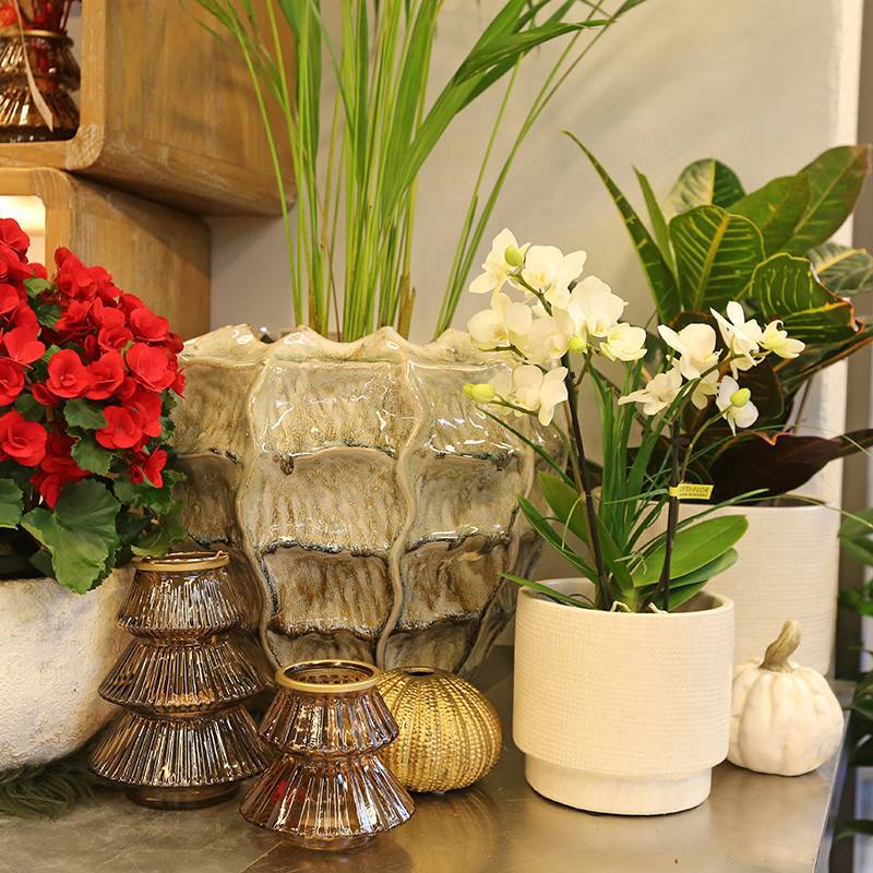 Bloemen en decoratie | Vanallemeersch-Deraedt
