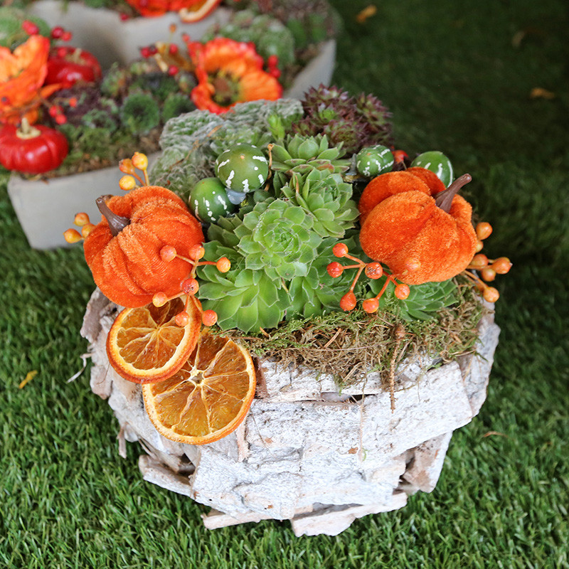 Bloemen en decoratie | Vanallemeersch-Deraedt Bloemen en decoratie | Vanallemeersch-Deraedt