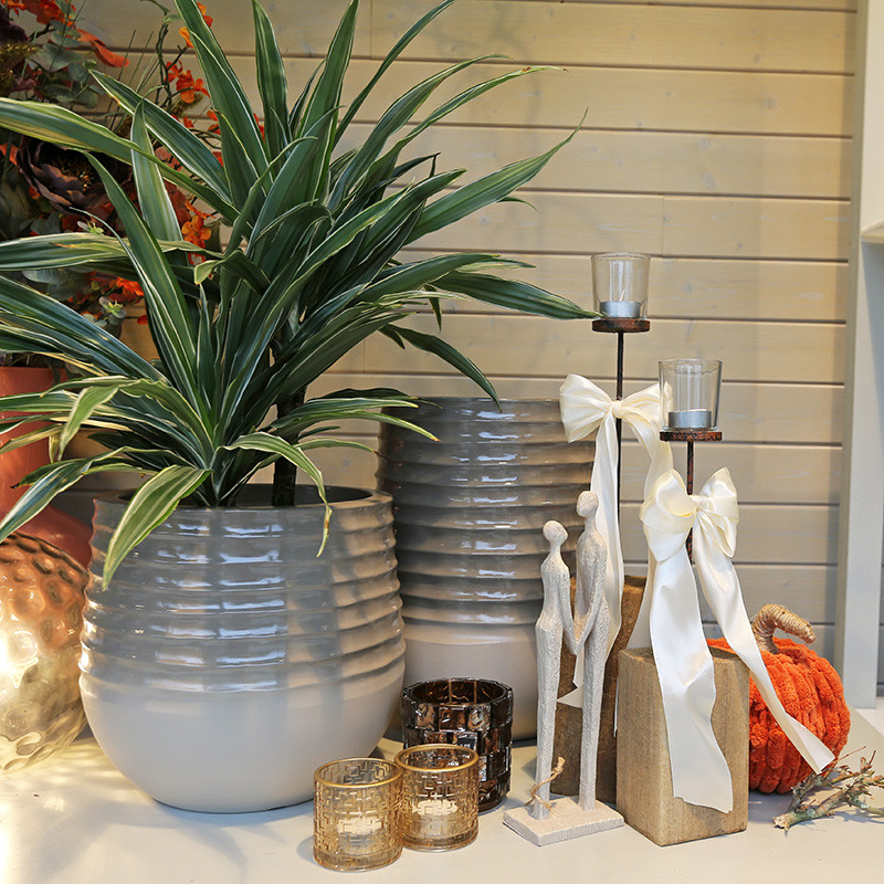 Bloemen en decoratie | Vanallemeersch-Deraedt Bloemen en decoratie | Vanallemeersch-Deraedt
