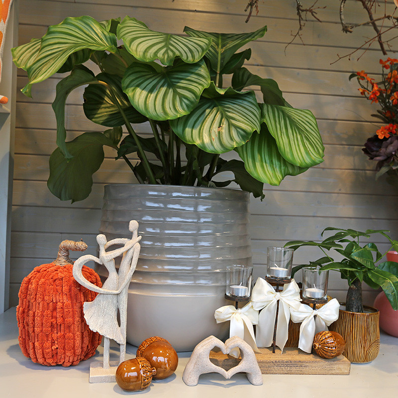 Bloemen en decoratie | Vanallemeersch-Deraedt Bloemen en decoratie | Vanallemeersch-Deraedt