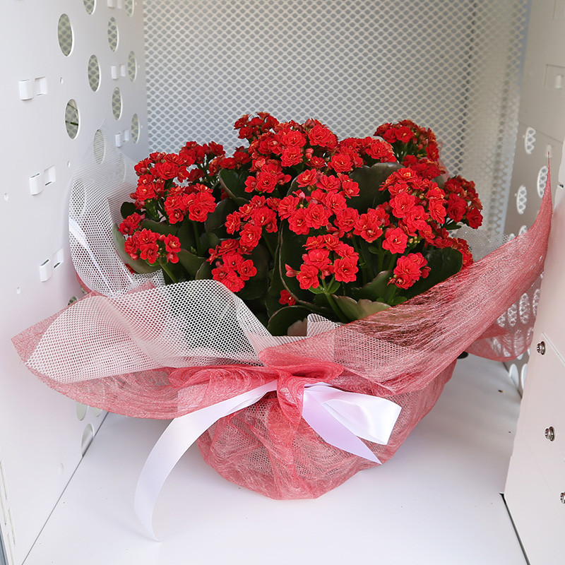 Bloemen en decoratie | Vanallemeersch-Deraedt