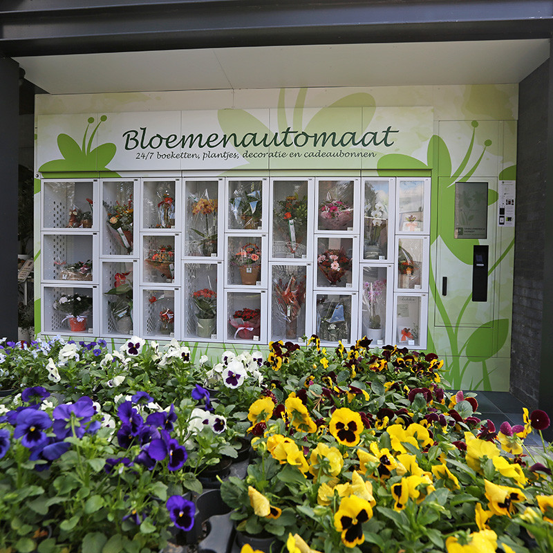 Bloemen en decoratie | Vanallemeersch-Deraedt