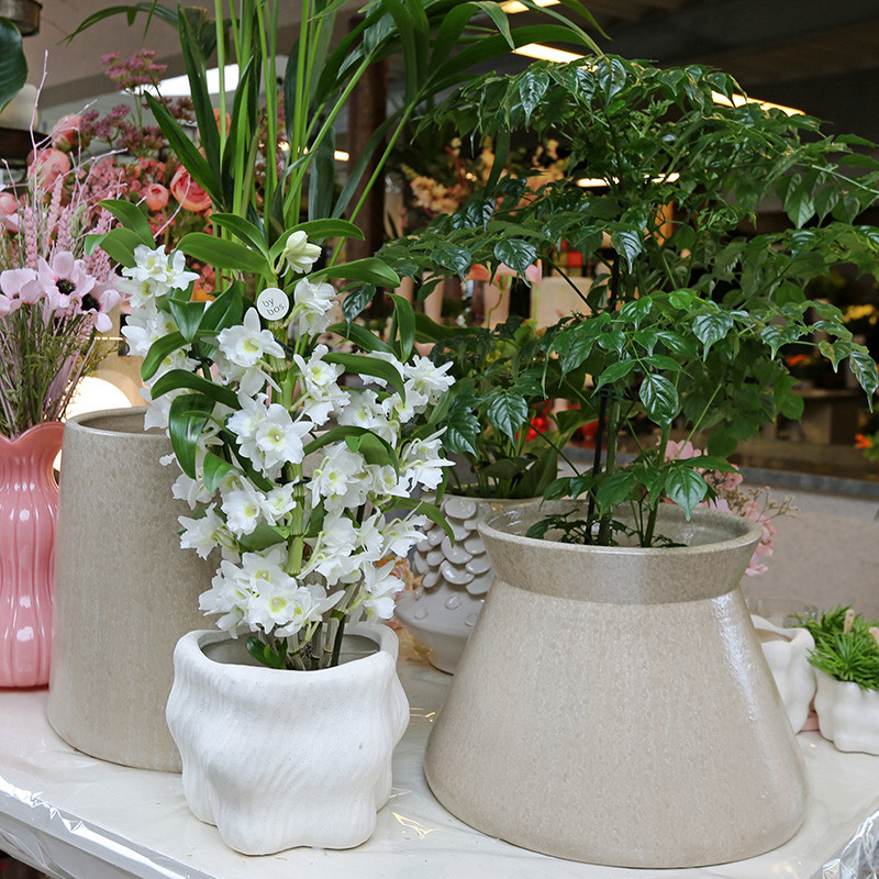 Bloemen en decoratie | Vanallemeersch-Deraedt