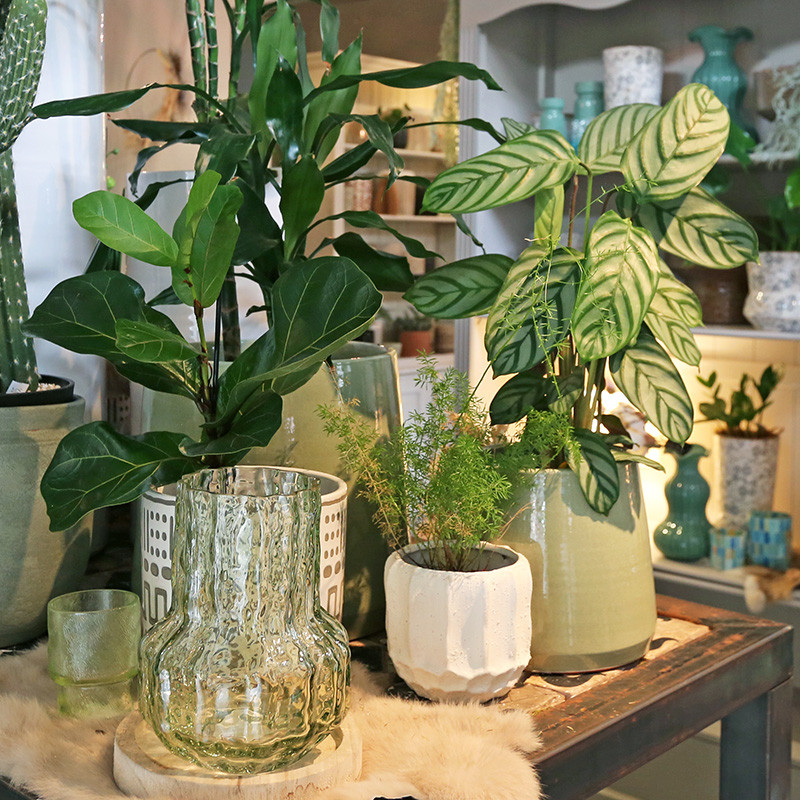 Bloemen en decoratie | Vanallemeersch-Deraedt