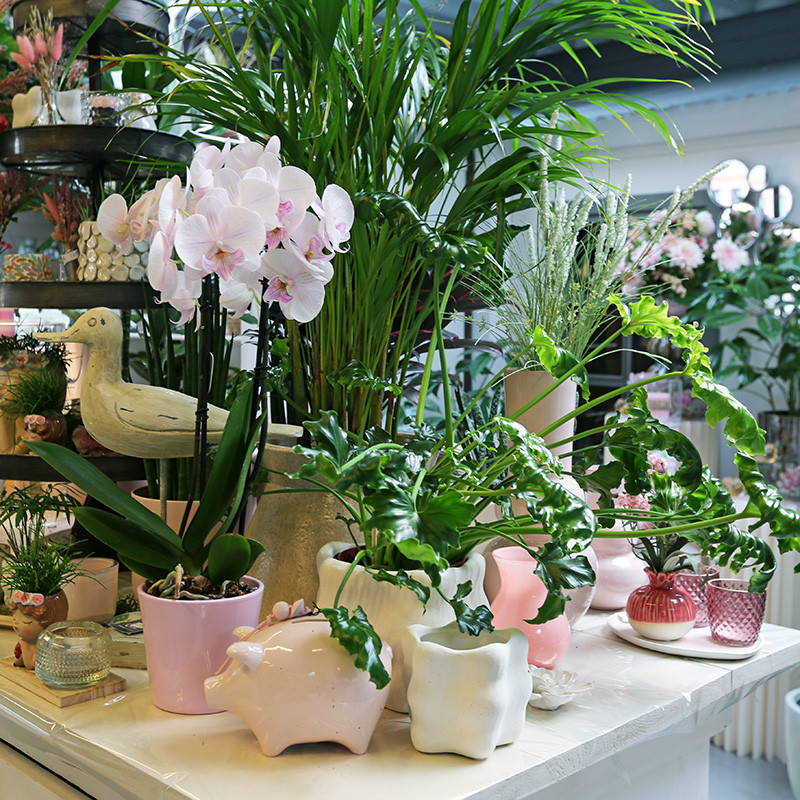 Bloemen en decoratie | Vanallemeersch-Deraedt