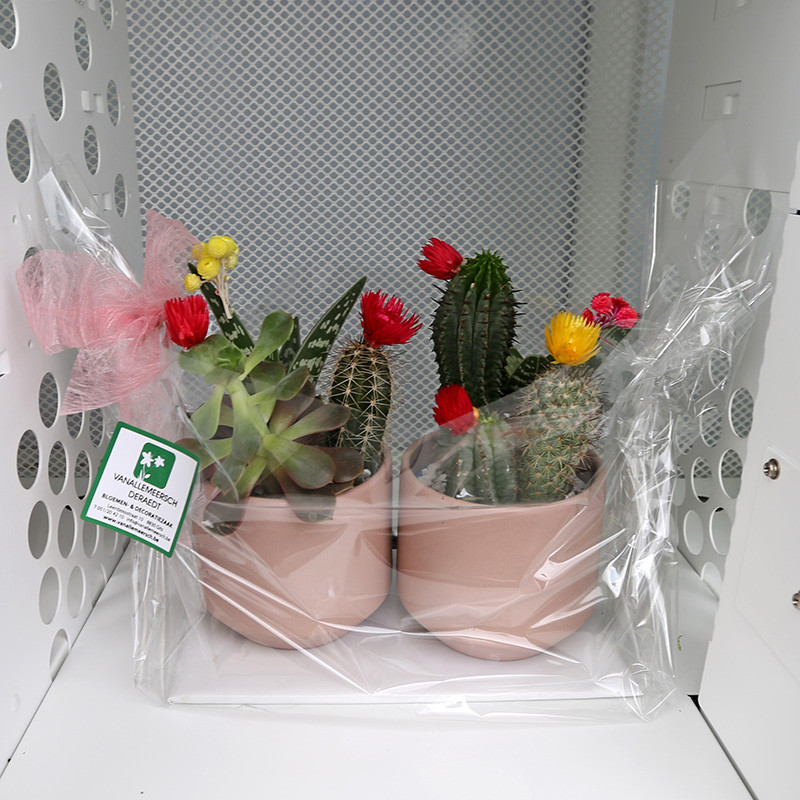 Bloemen en decoratie | Vanallemeersch-Deraedt