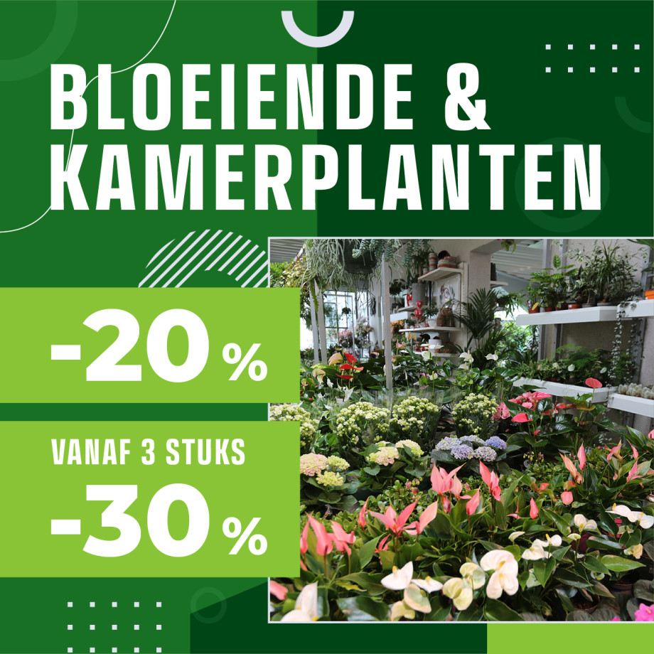 Bloemen en decoratie | Vanallemeersch-Deraedt