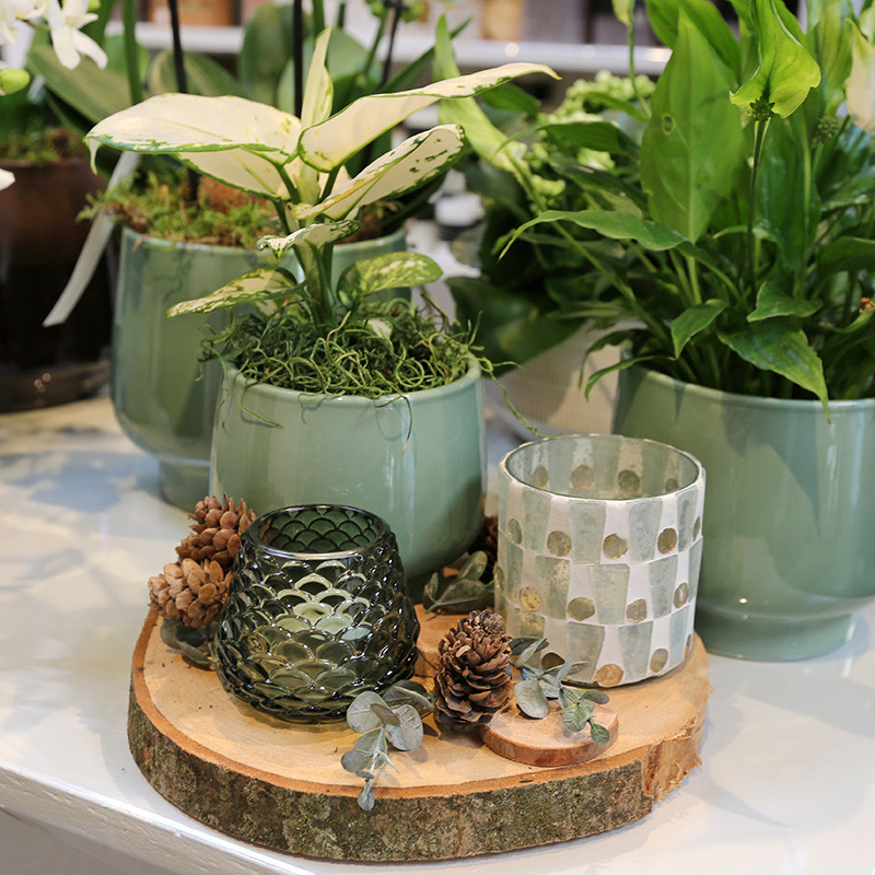 Bloemen en decoratie | Vanallemeersch-Deraedt