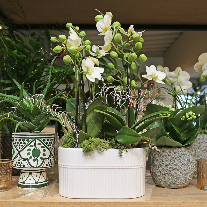 Bloemen en decoratie | Vanallemeersch-Deraedt